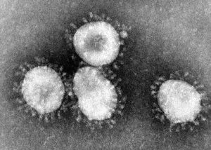 کروناویروس چیست
